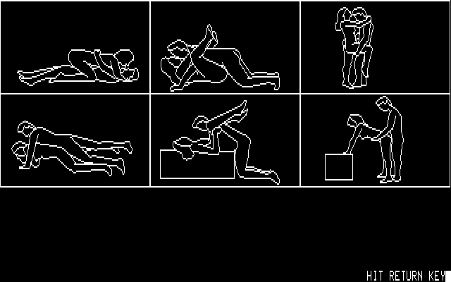 518808-night-life-pc-88-screenshot-apparently-these-are-the-positions
